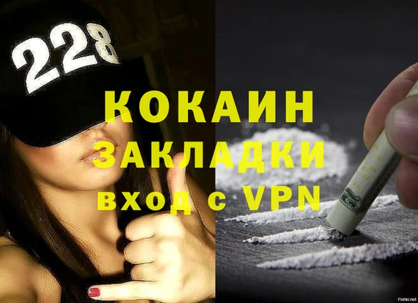 гидра Верхний Тагил