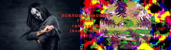 гидра Верхний Тагил