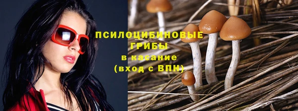 гидра Верхний Тагил